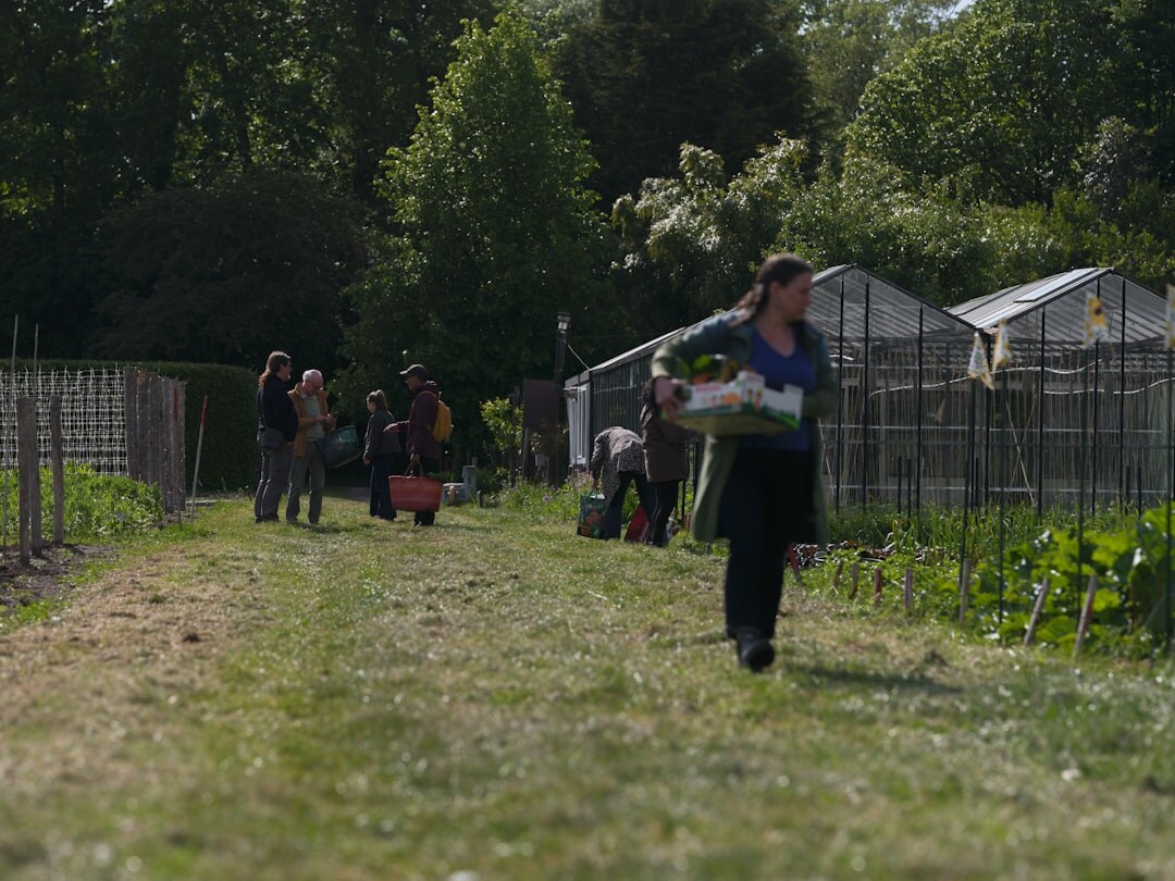 Seniors gardening together in a community garden