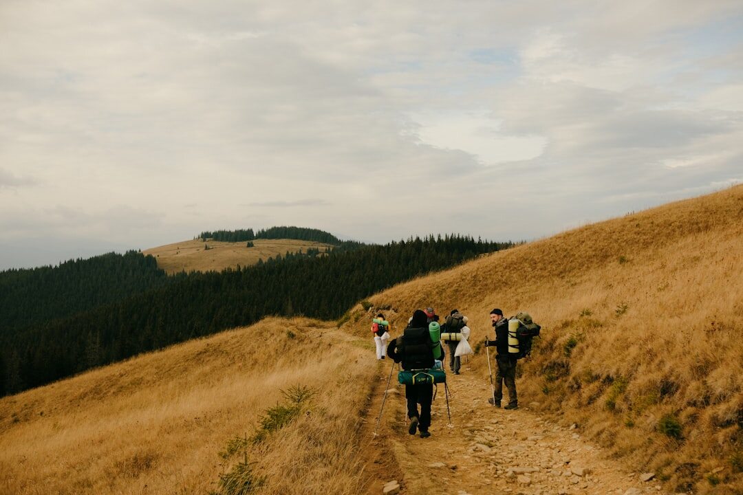 Group of senior hikers walking together on a nature trail with walking sticks